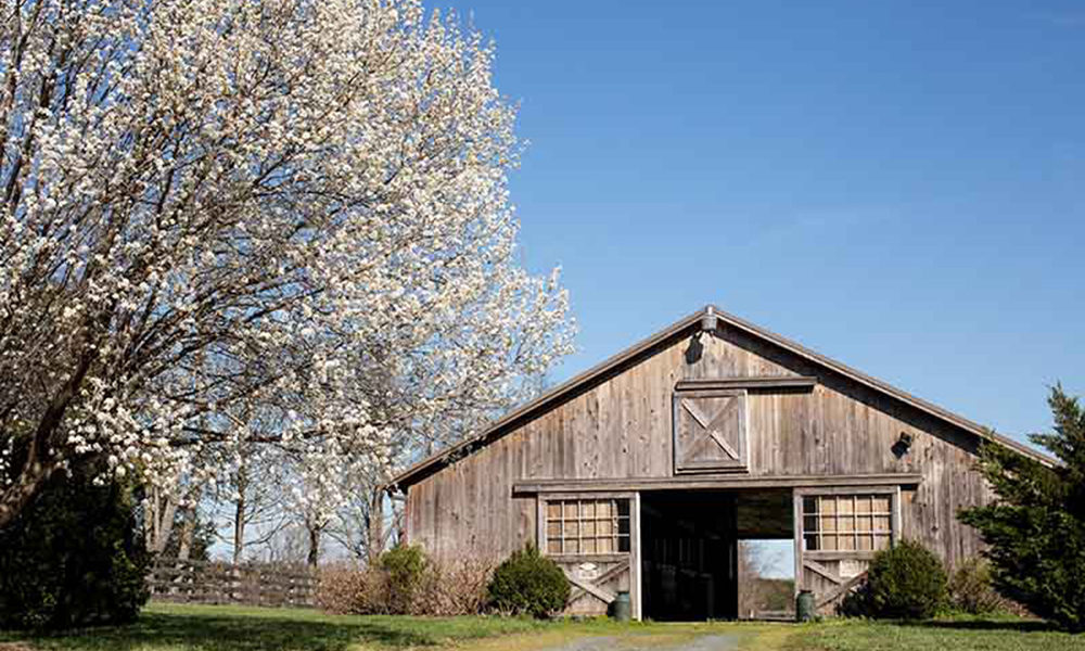 Web-Barn